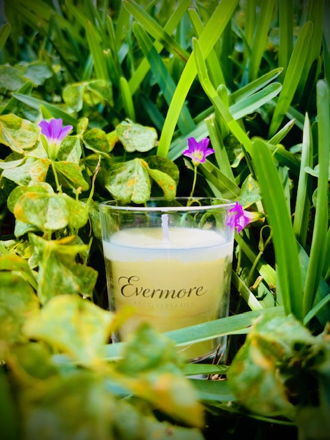 Evermore Angelversaries candle nestled among greenery and wildflowers