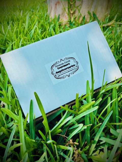 Evermore Angelversaries Legacy Box, sealed and ready to ship from Pensacola, Florida